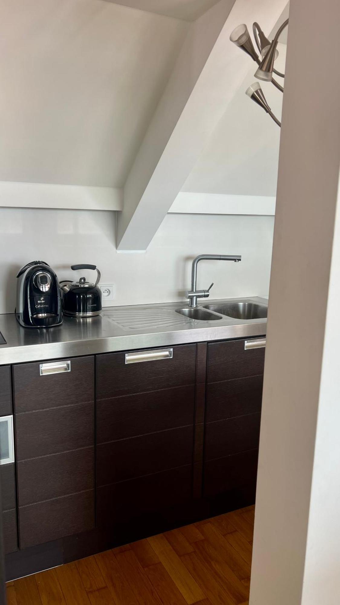 Apartman Se Saunou A Terasou S Vyhledem Na Brno Eksteriør billede