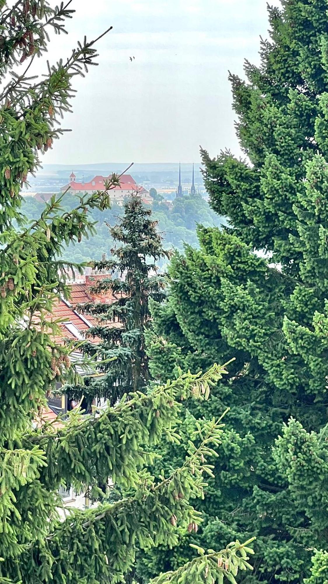 Apartman Se Saunou A Terasou S Vyhledem Na Brno Eksteriør billede