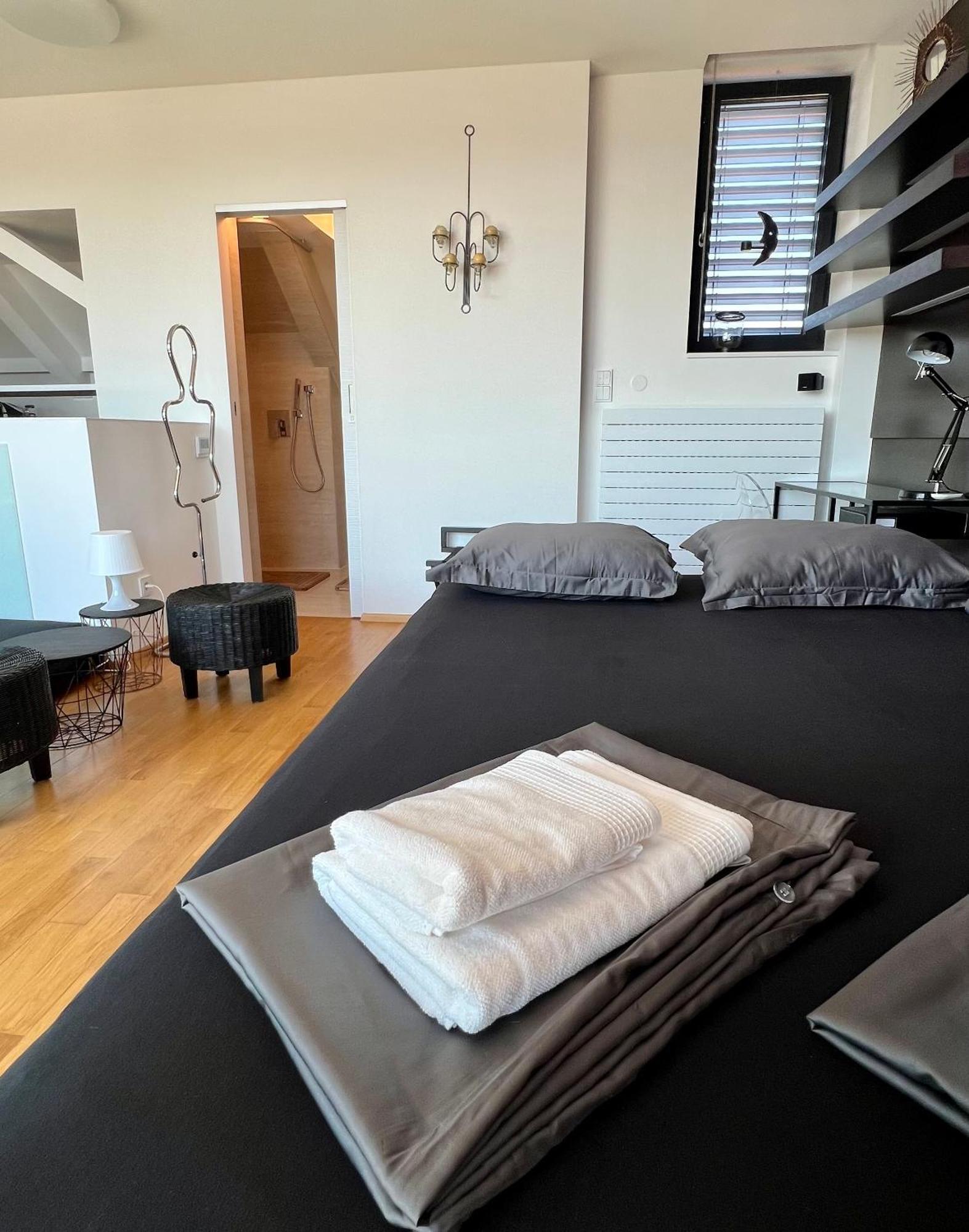 Apartman Se Saunou A Terasou S Vyhledem Na Brno Eksteriør billede